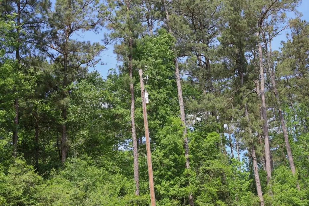 Picture 3