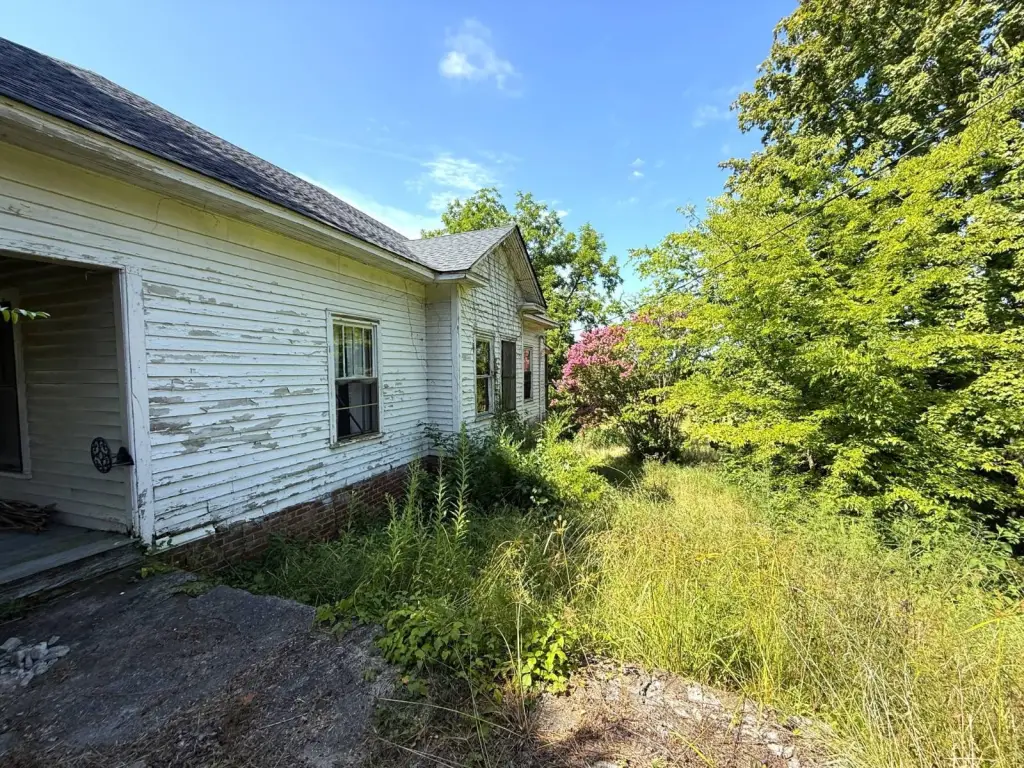 Picture 17