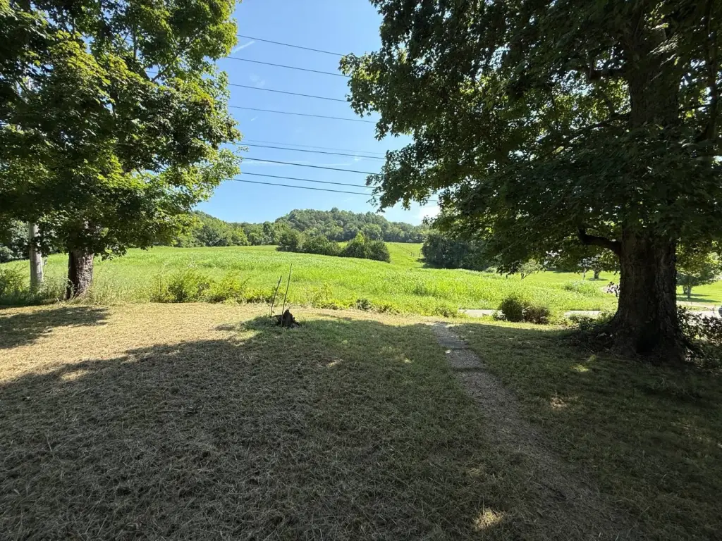 Picture 26