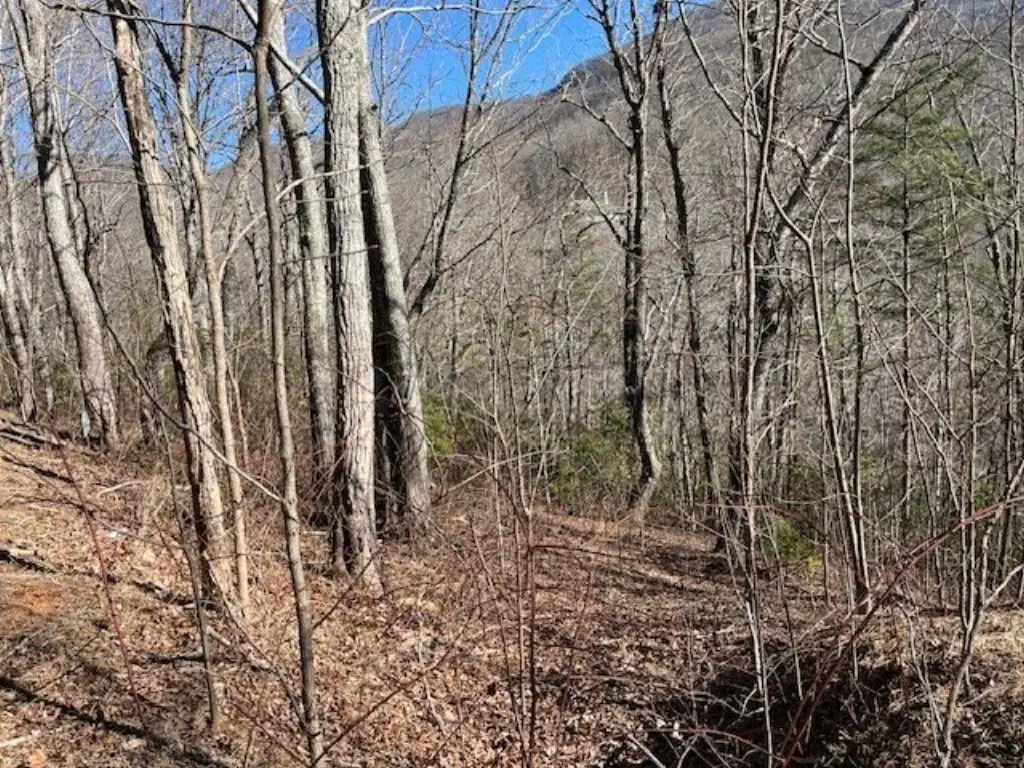 Picture 3