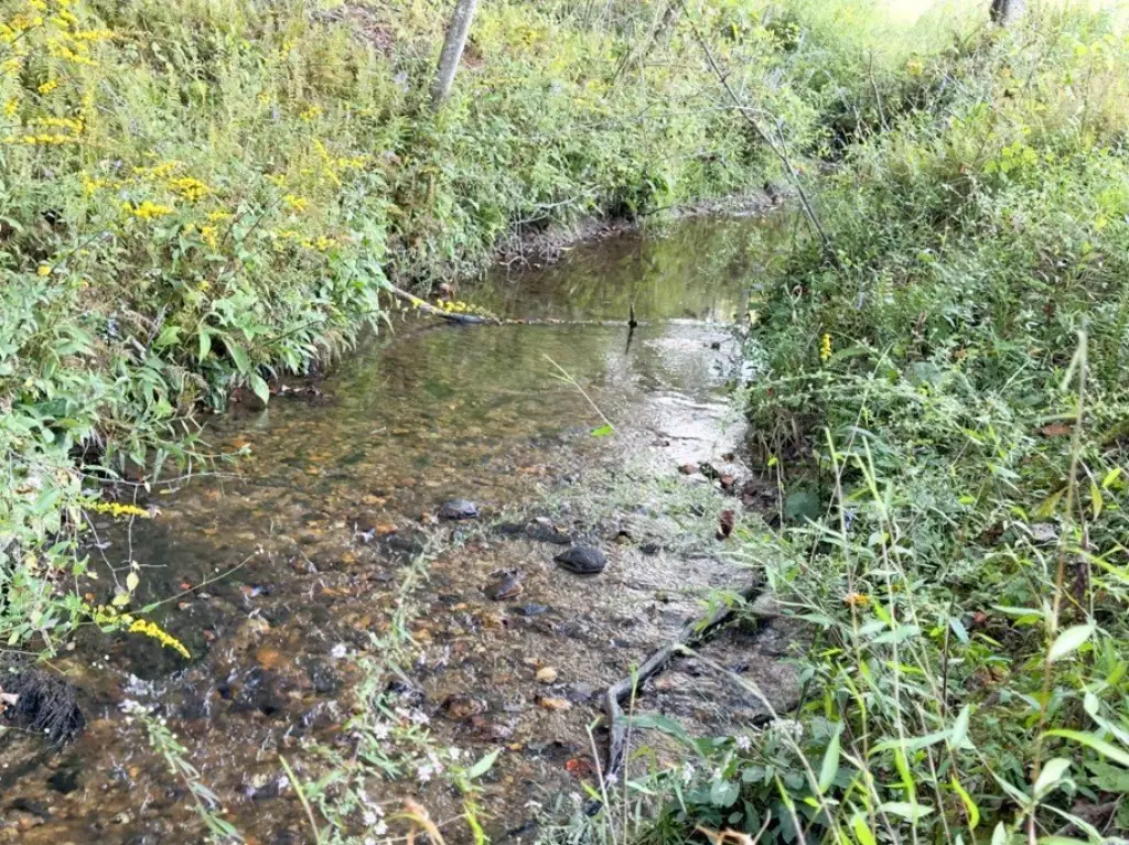 Picture 18