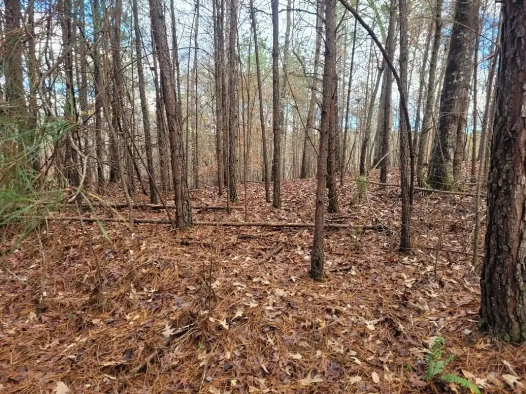 Picture 7