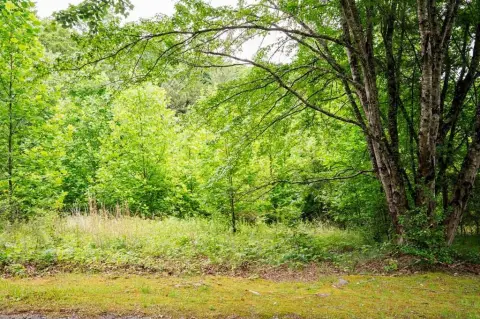 Mountain View Homesite Land