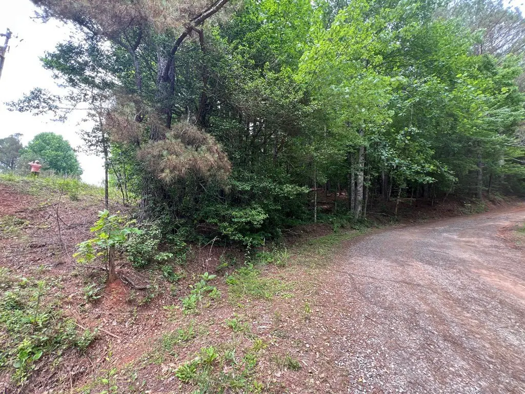 Picture 22