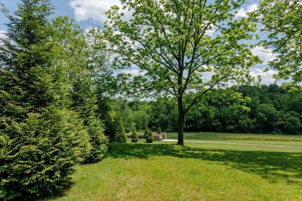 Picture 25