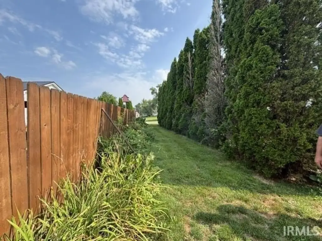 Picture 5