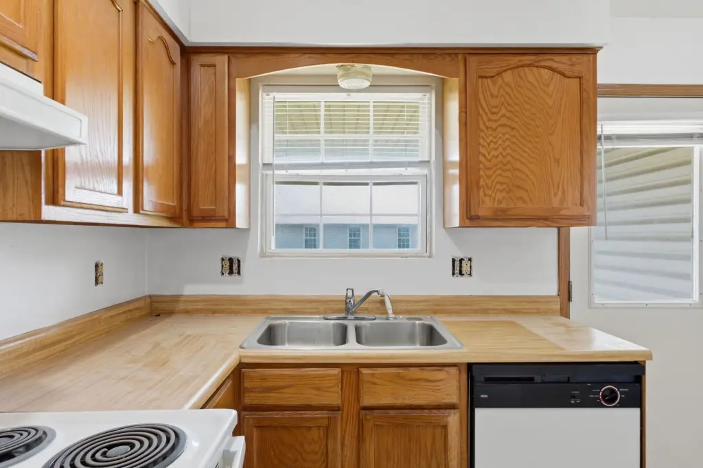 Picture 11