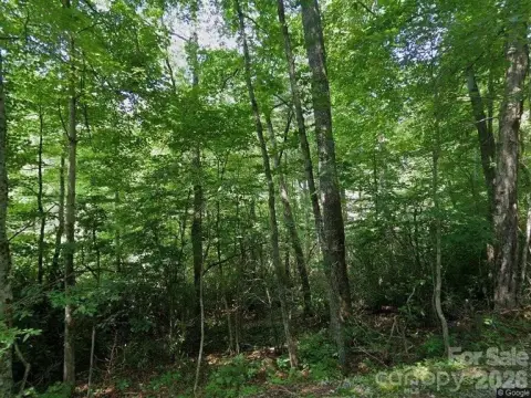 Wooded Lot in Linville Harbor