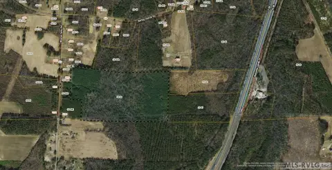 Undeveloped Acreage in Skippers, VA