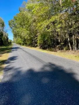 20 Acres in Alachua, FL