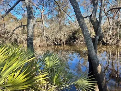 Alapaha River Frontage Land