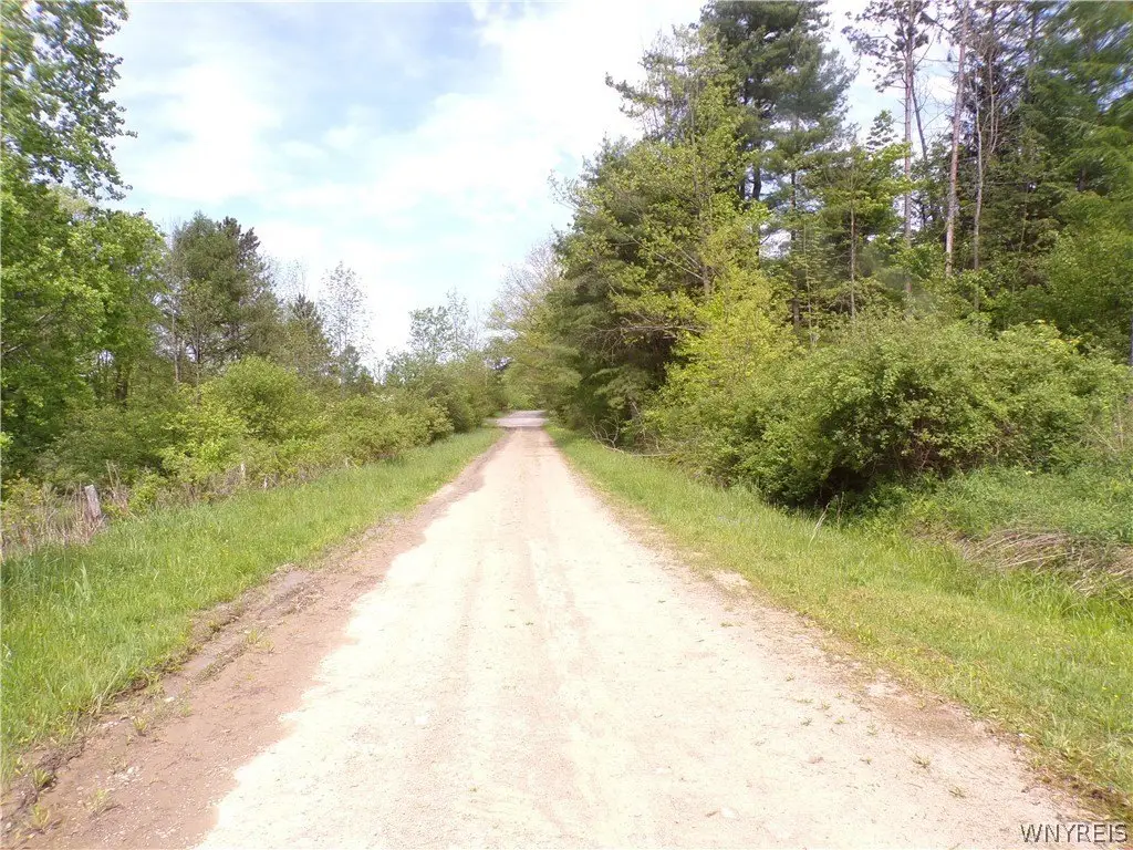 Picture 14