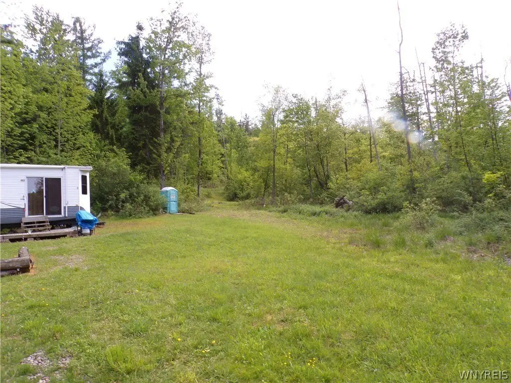 Picture 2