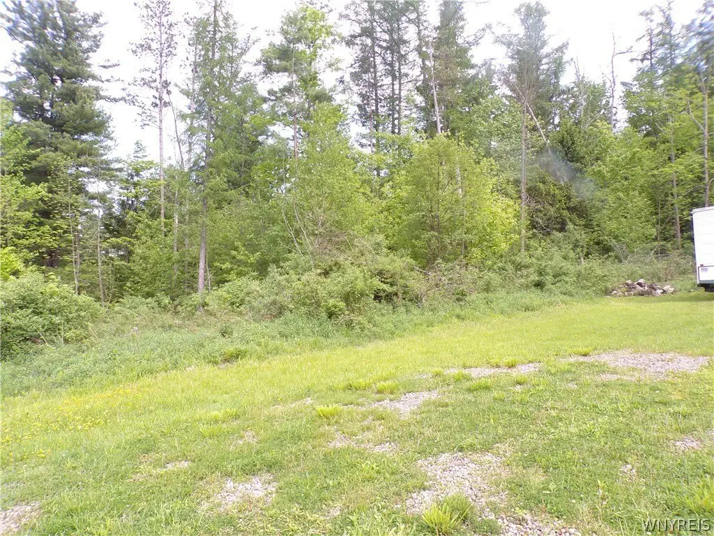 Picture 3