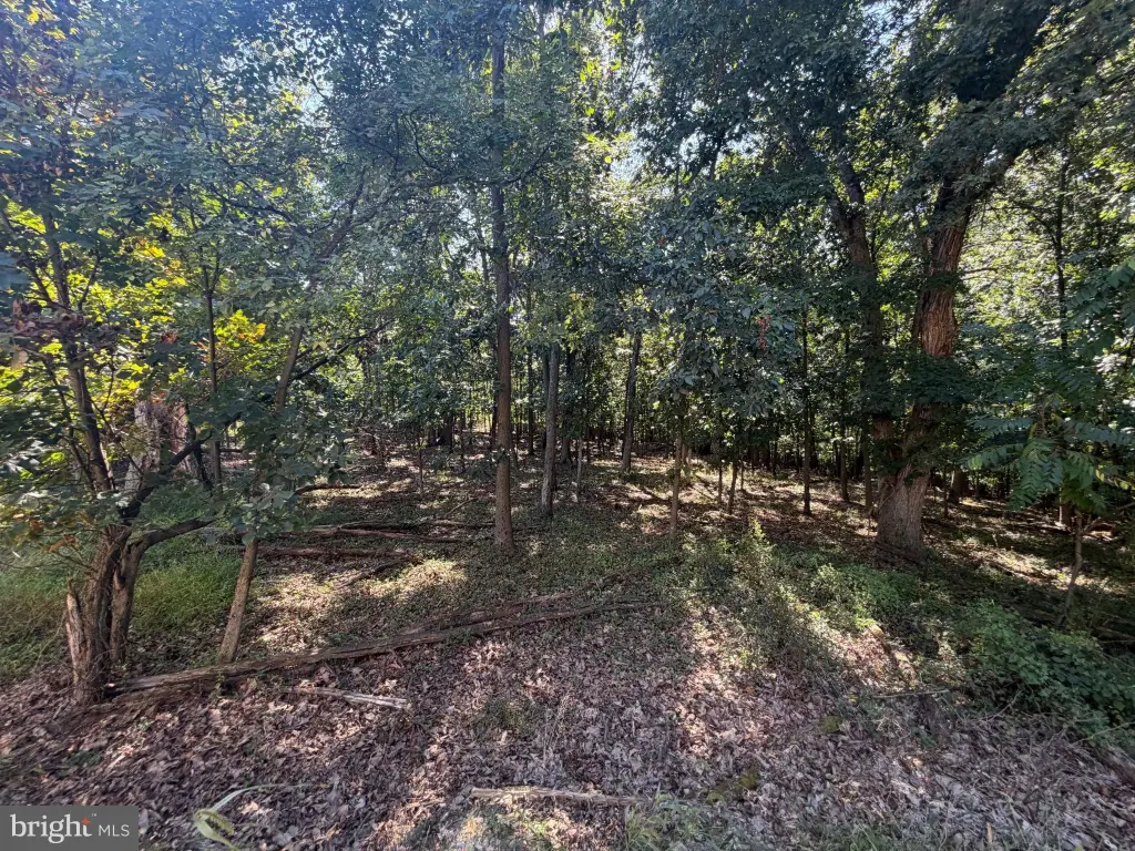 Picture 32