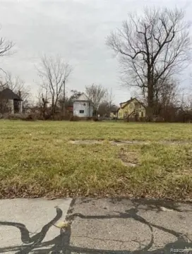 Residential Lot in Detroit