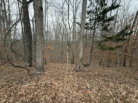 Wooded Lot Near Smith Mountain