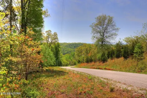 Wooded Lot Near Norris Lake