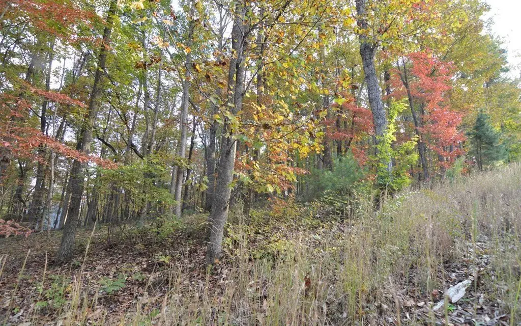Picture 4