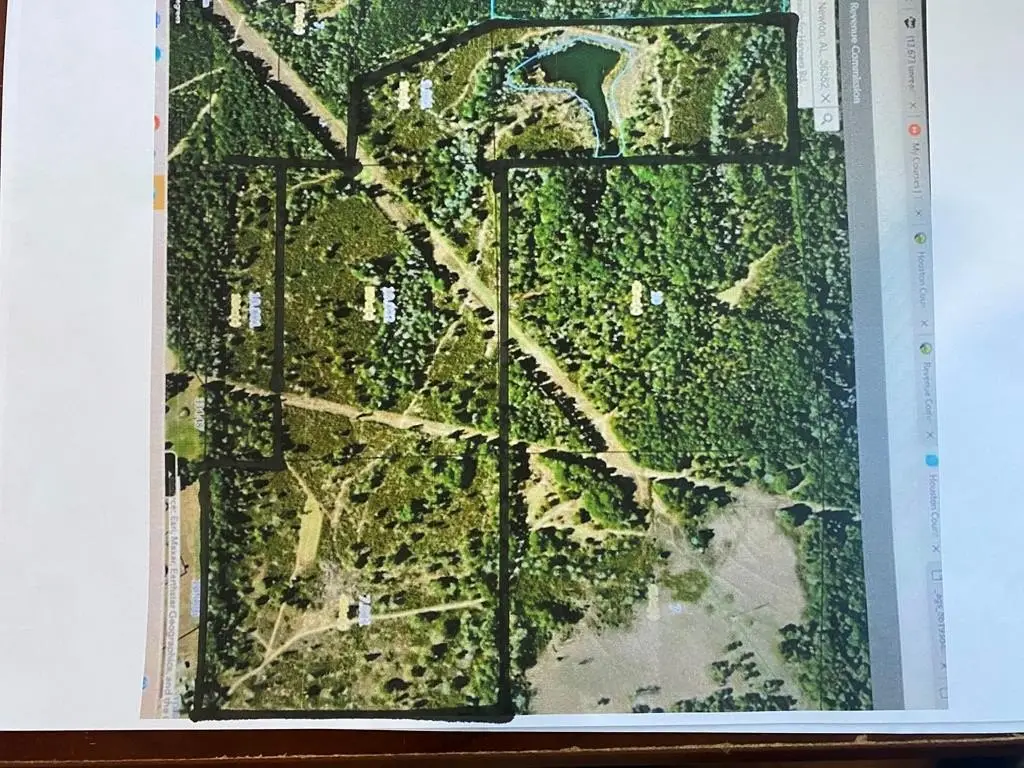 Picture 2