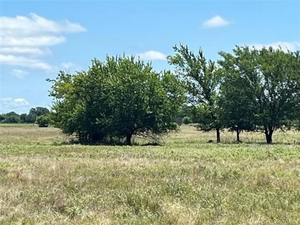 Picture 10