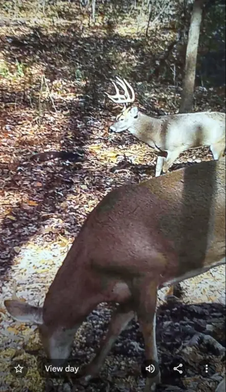 Picture 14