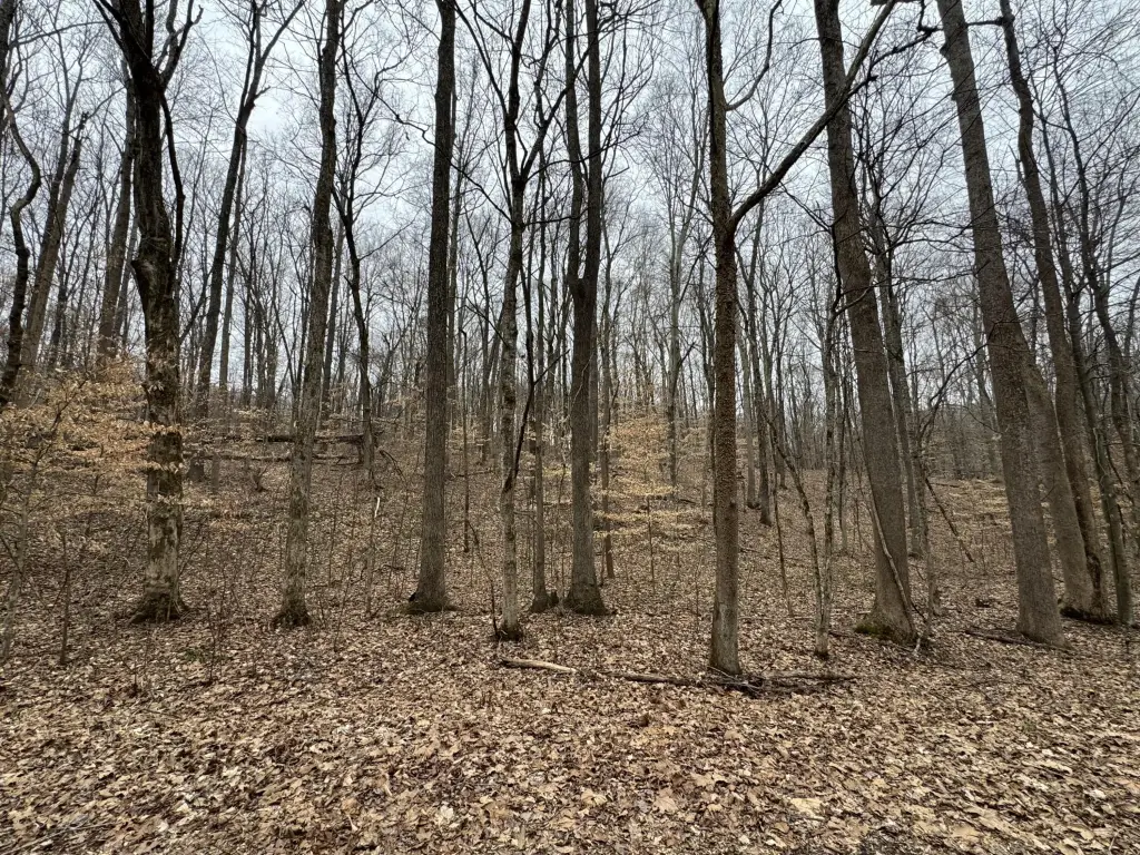 Picture 7