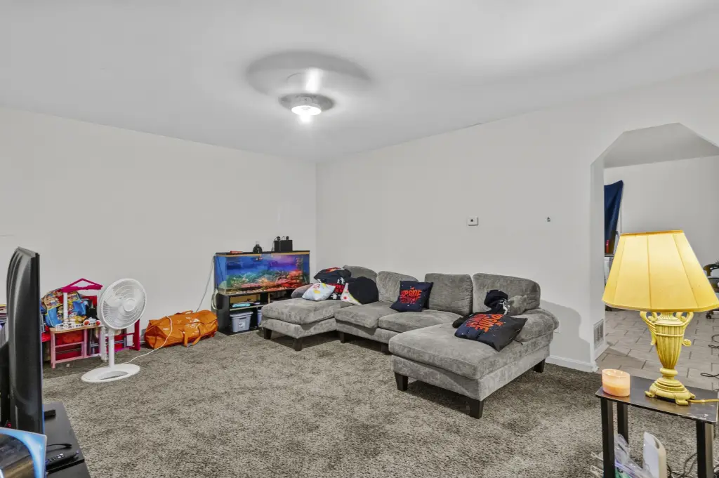 Picture 8