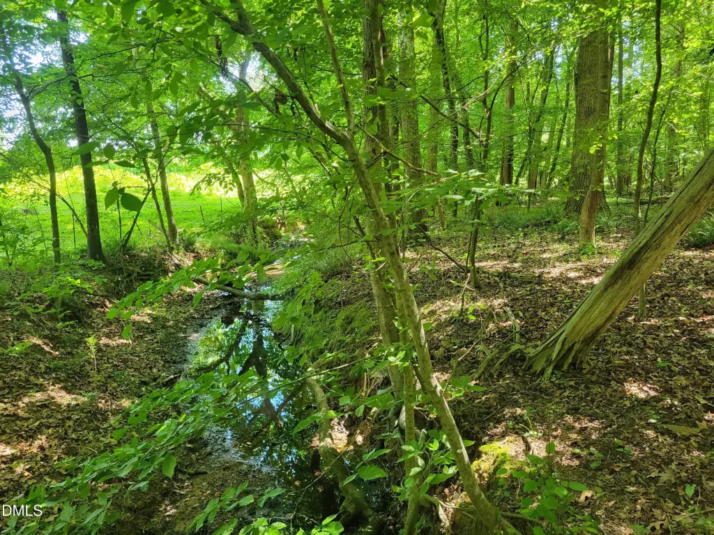 Picture 24