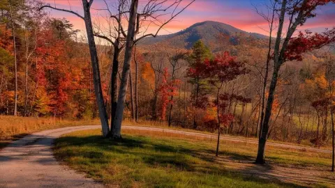 Roanoke County Land with Views