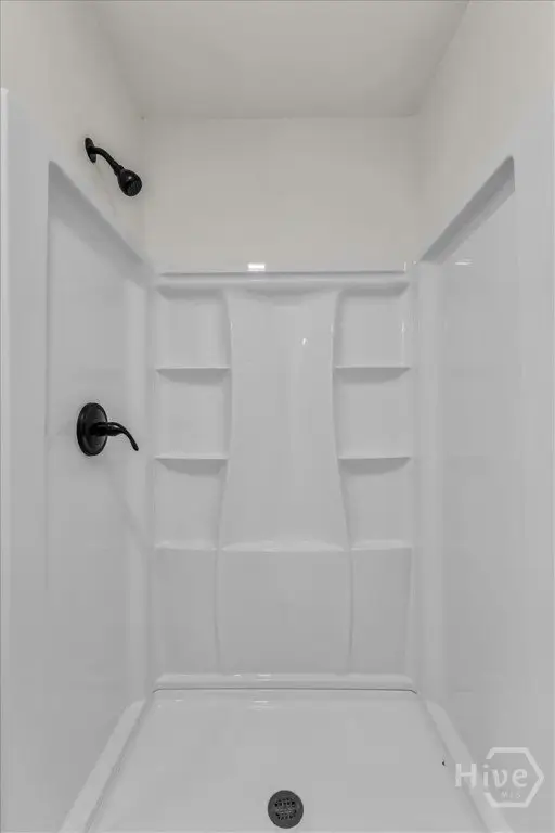 Picture 24