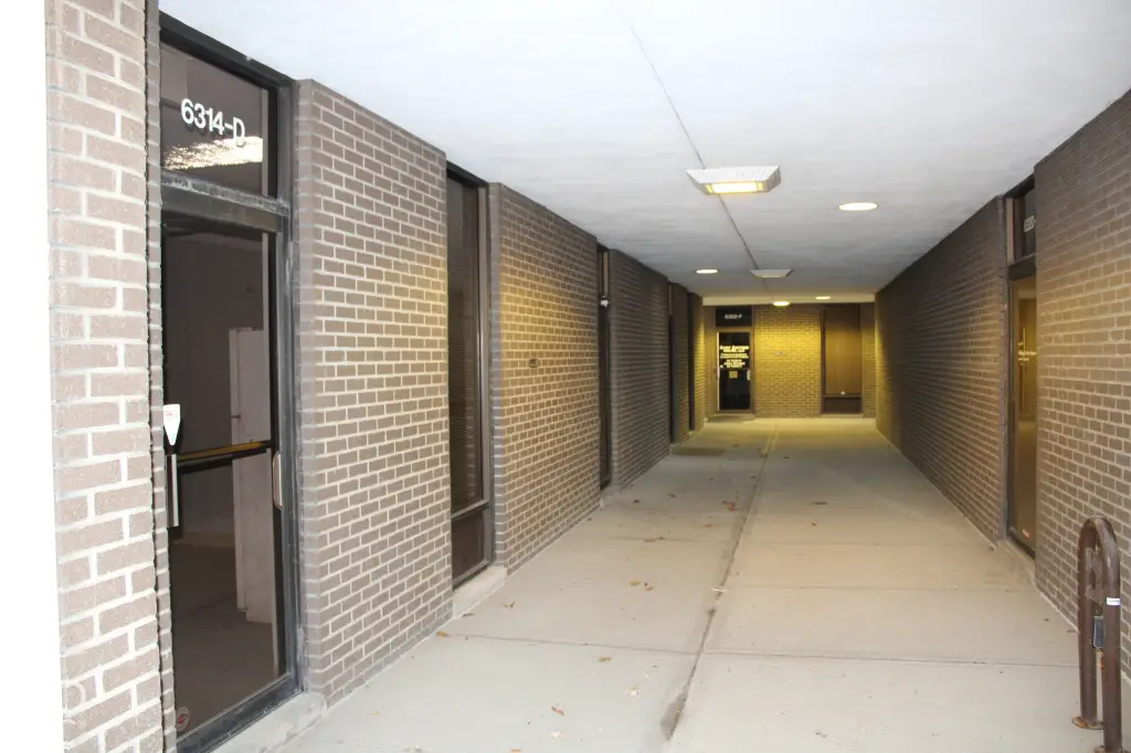 Picture 3