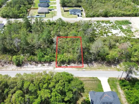 OCKLAWAHA, FL Land For Sale