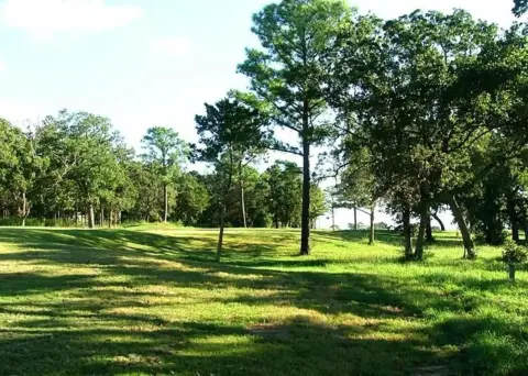 Terrell, TX Unimproved Land Parcel