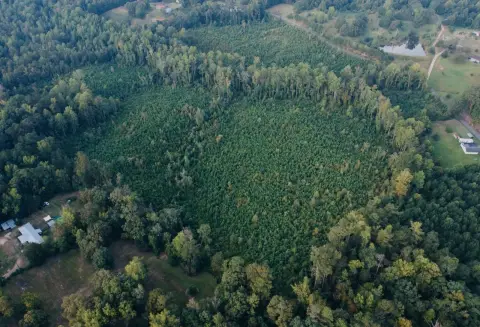 Land Near Okatibbee Lake