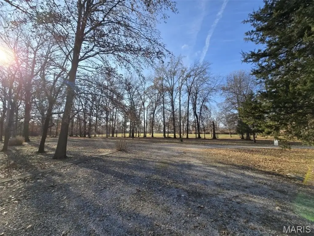 Picture 20