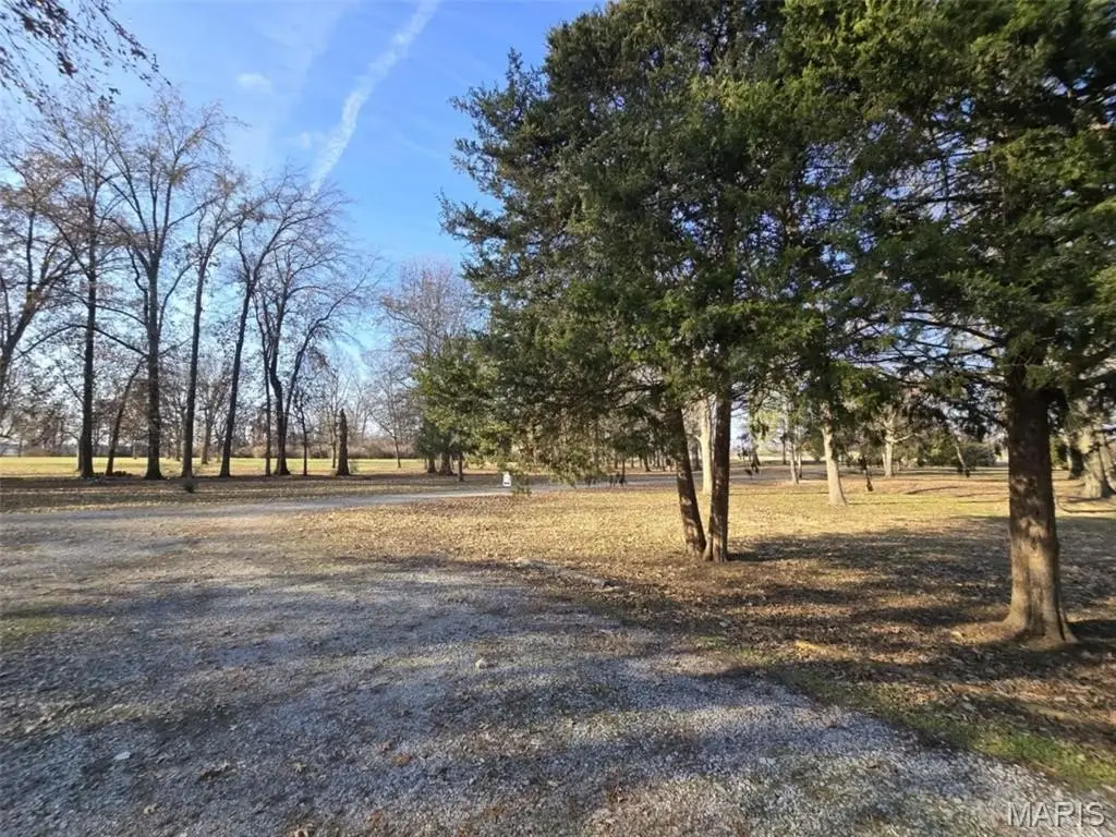 Picture 18