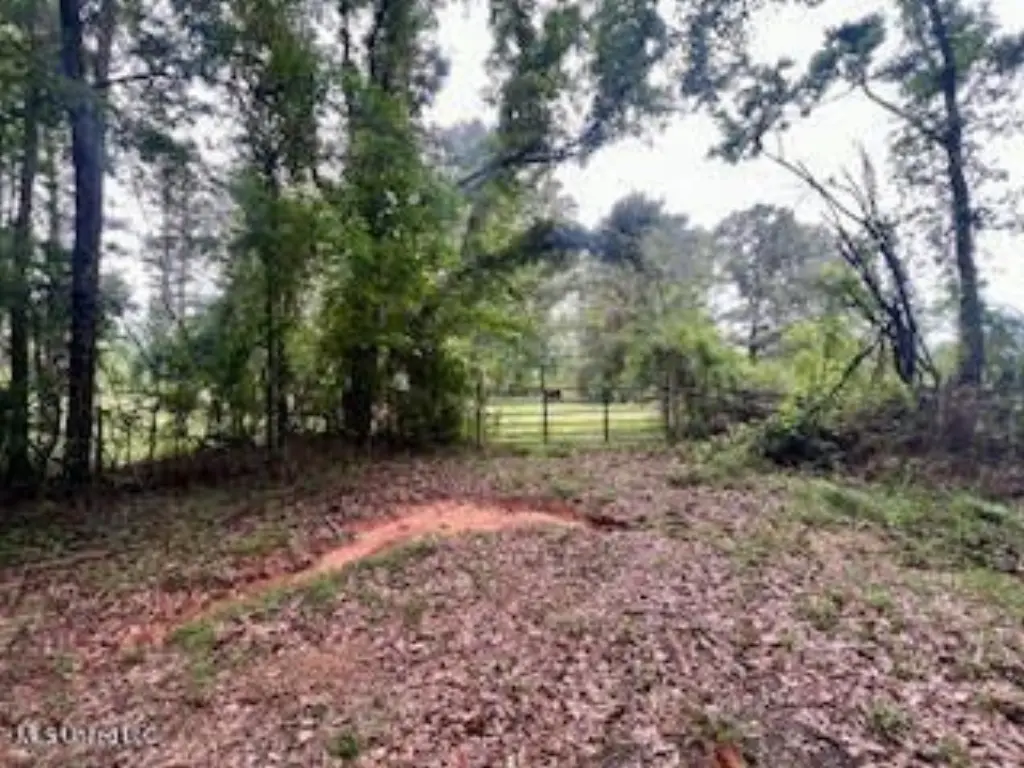 Picture 16