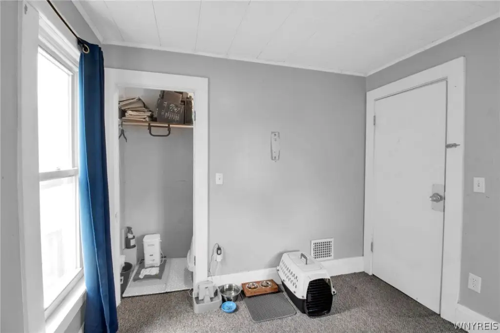 Picture 23