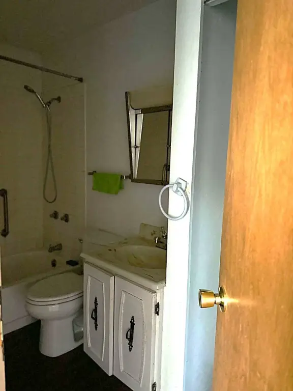 Picture 3