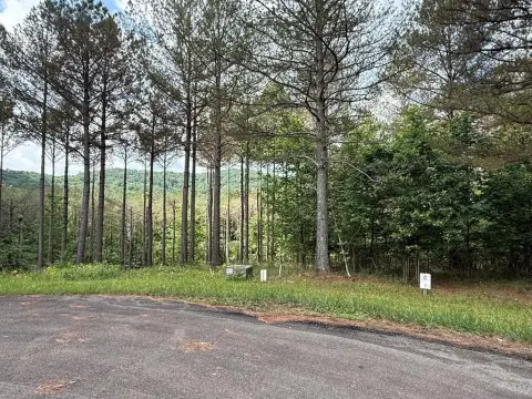 Ellijay Vacant Lot in Gated Community