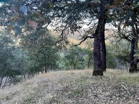 Napa Land with View Potential