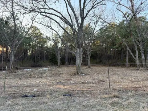 Acreage with FM 250 Frontage