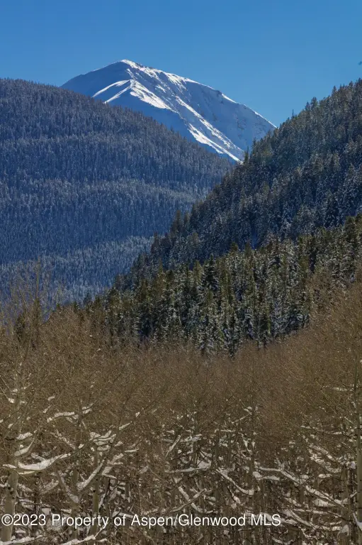 Picture 32