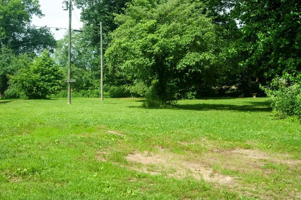 Picture 39