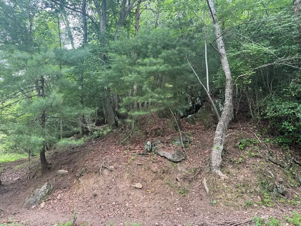 Picture 20