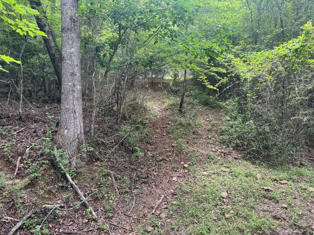 Picture 16