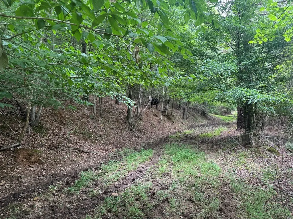 Picture 17