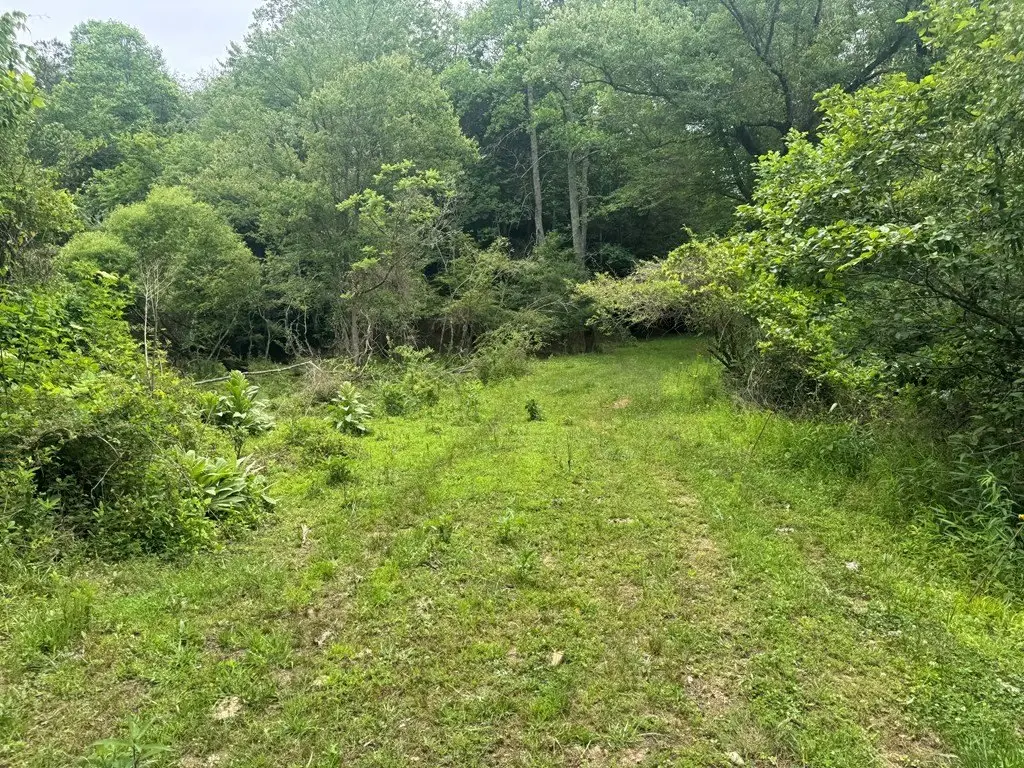 Picture 23