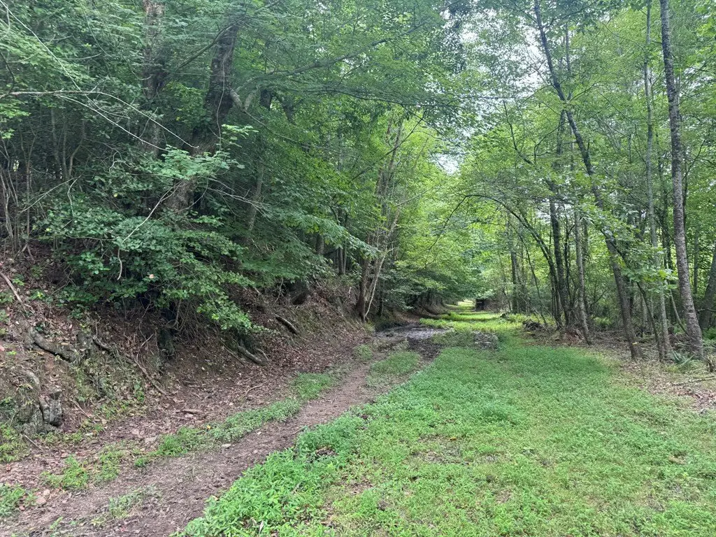 Picture 19